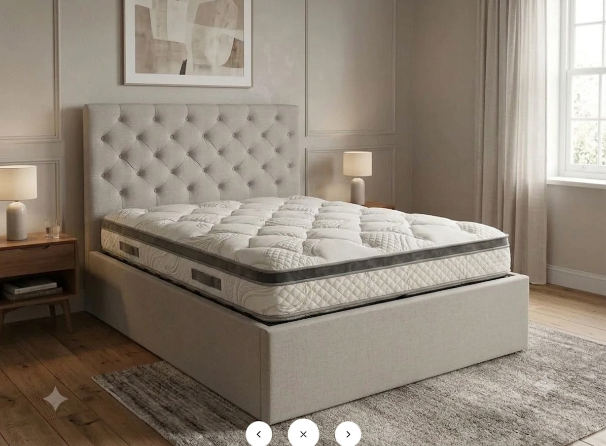Lucia Electrical Storage Bed