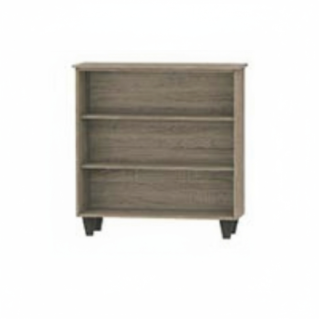 Jim 2 Door Shoe Cabinet