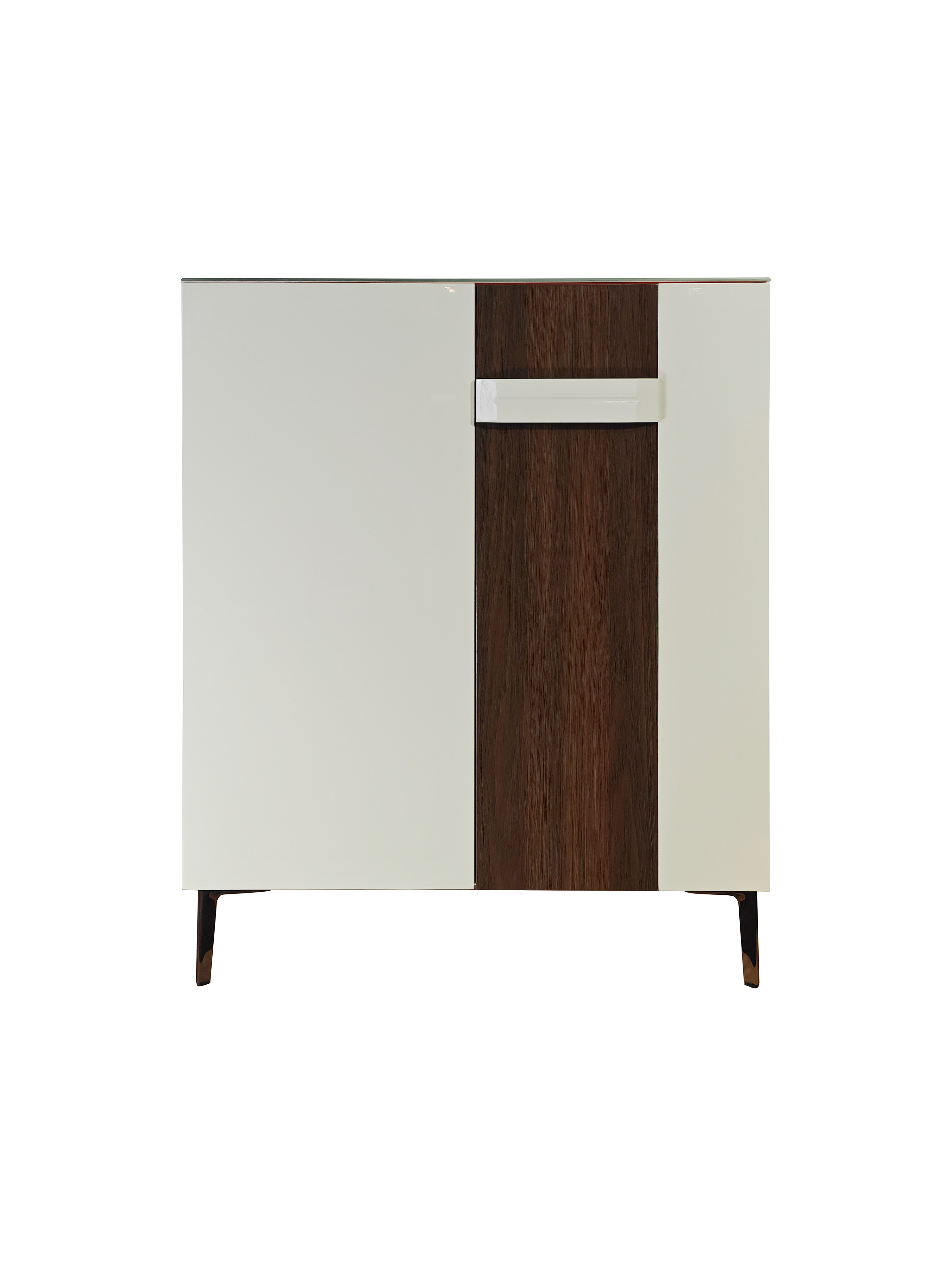 Mylo 2 Door Shoe Cabinet