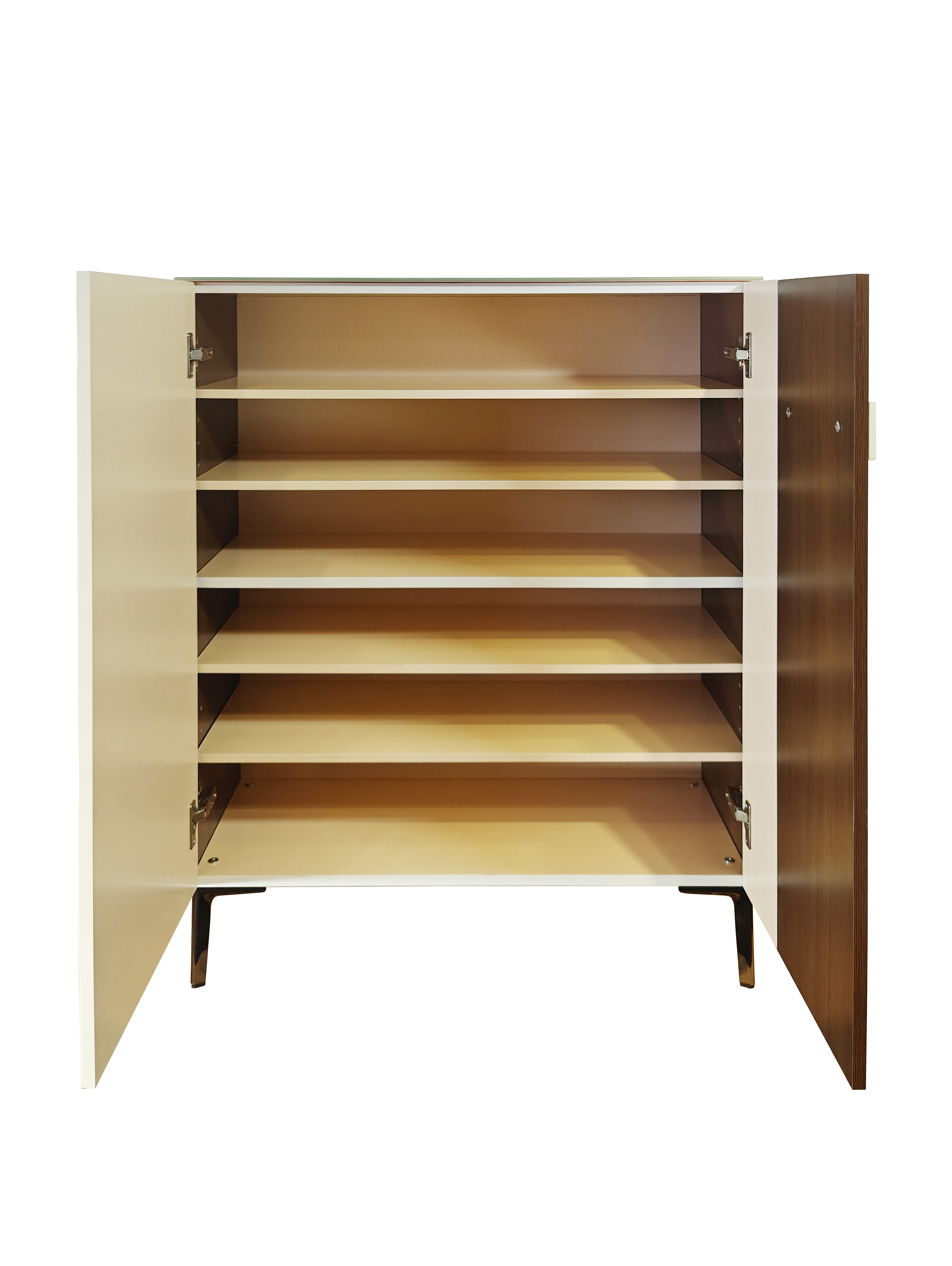 Mylo 2 Door Shoe Cabinet