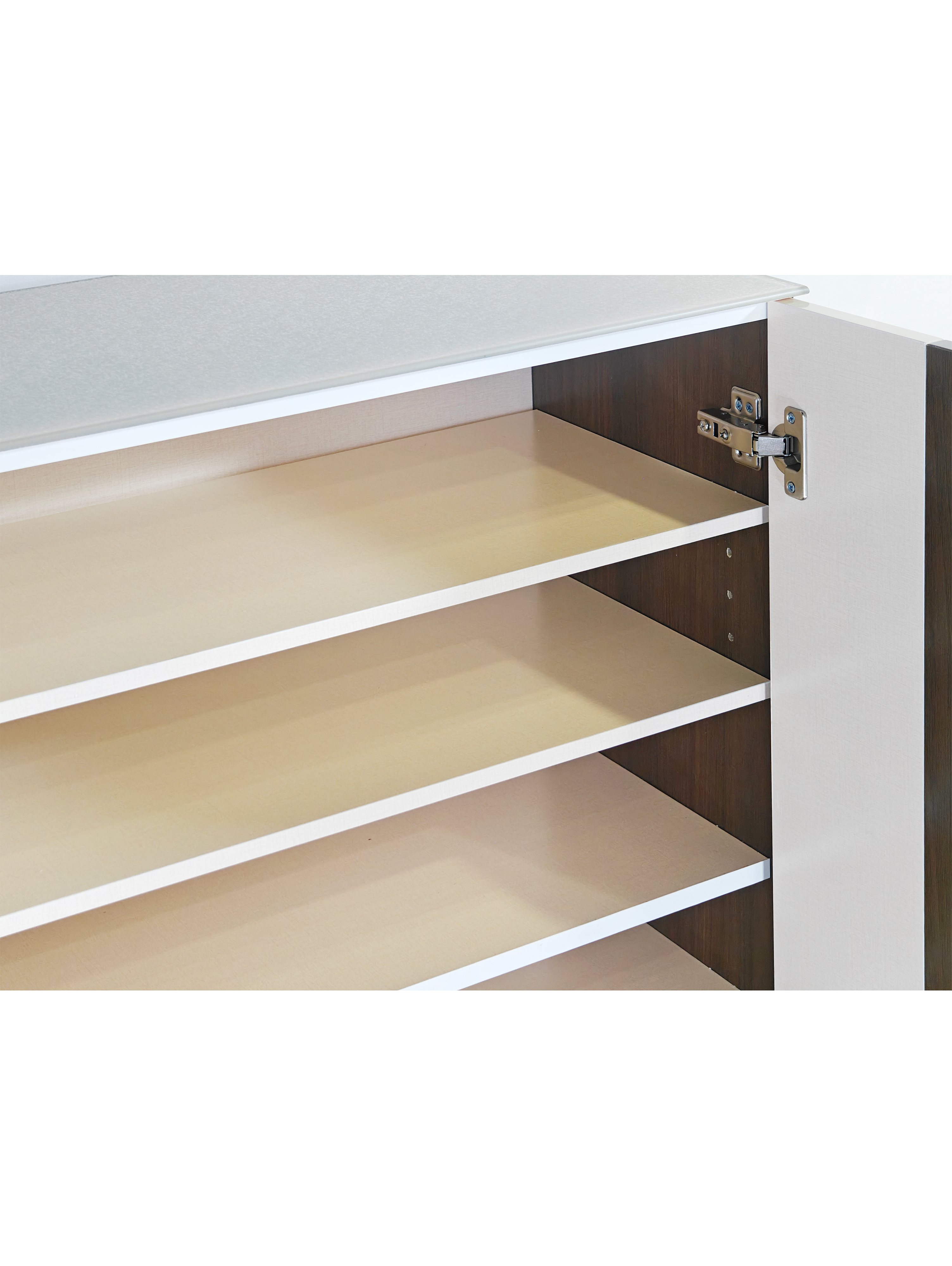 Mylo 2 Door Shoe Cabinet