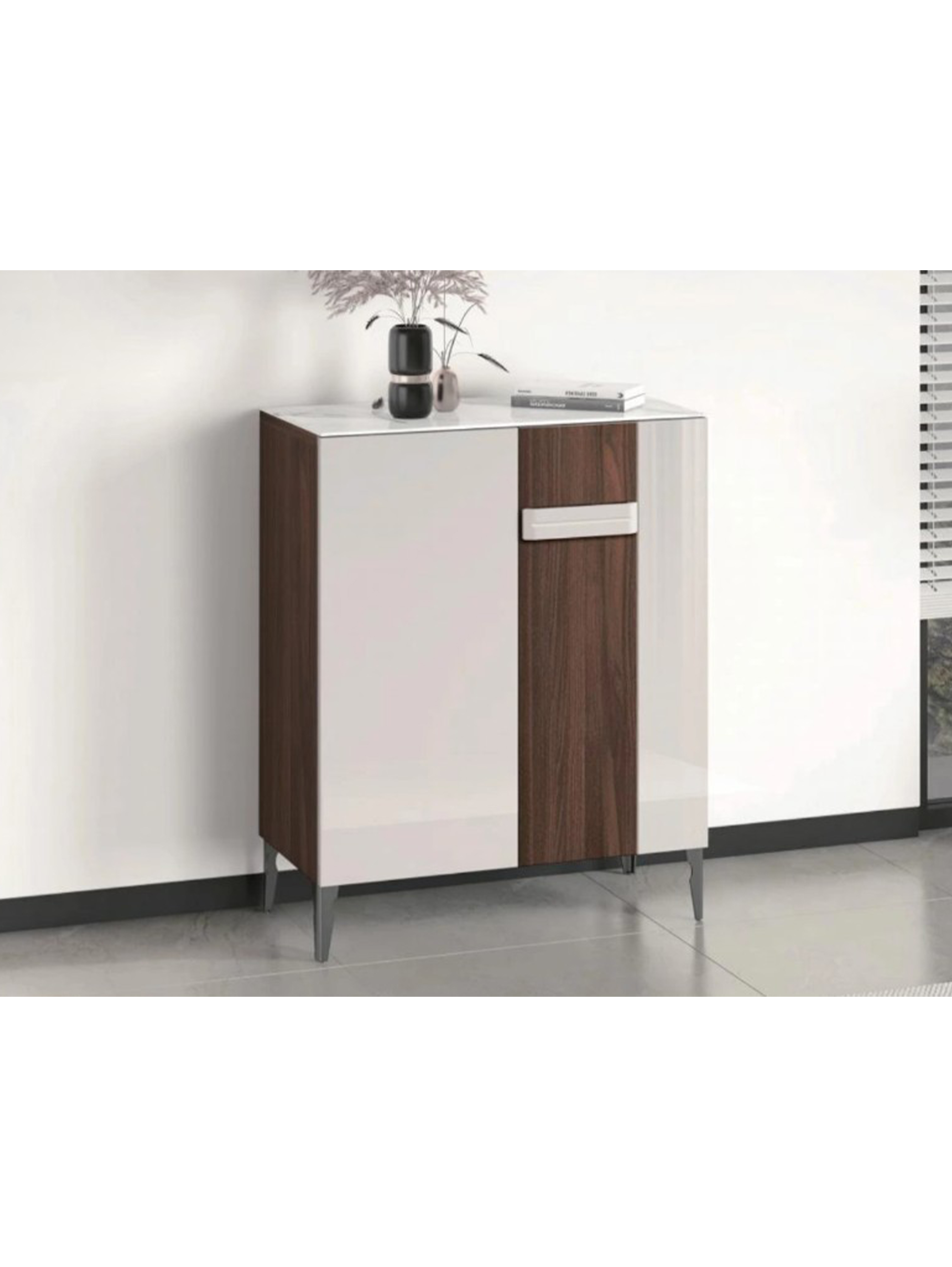 Mylo 2 Door Shoe Cabinet