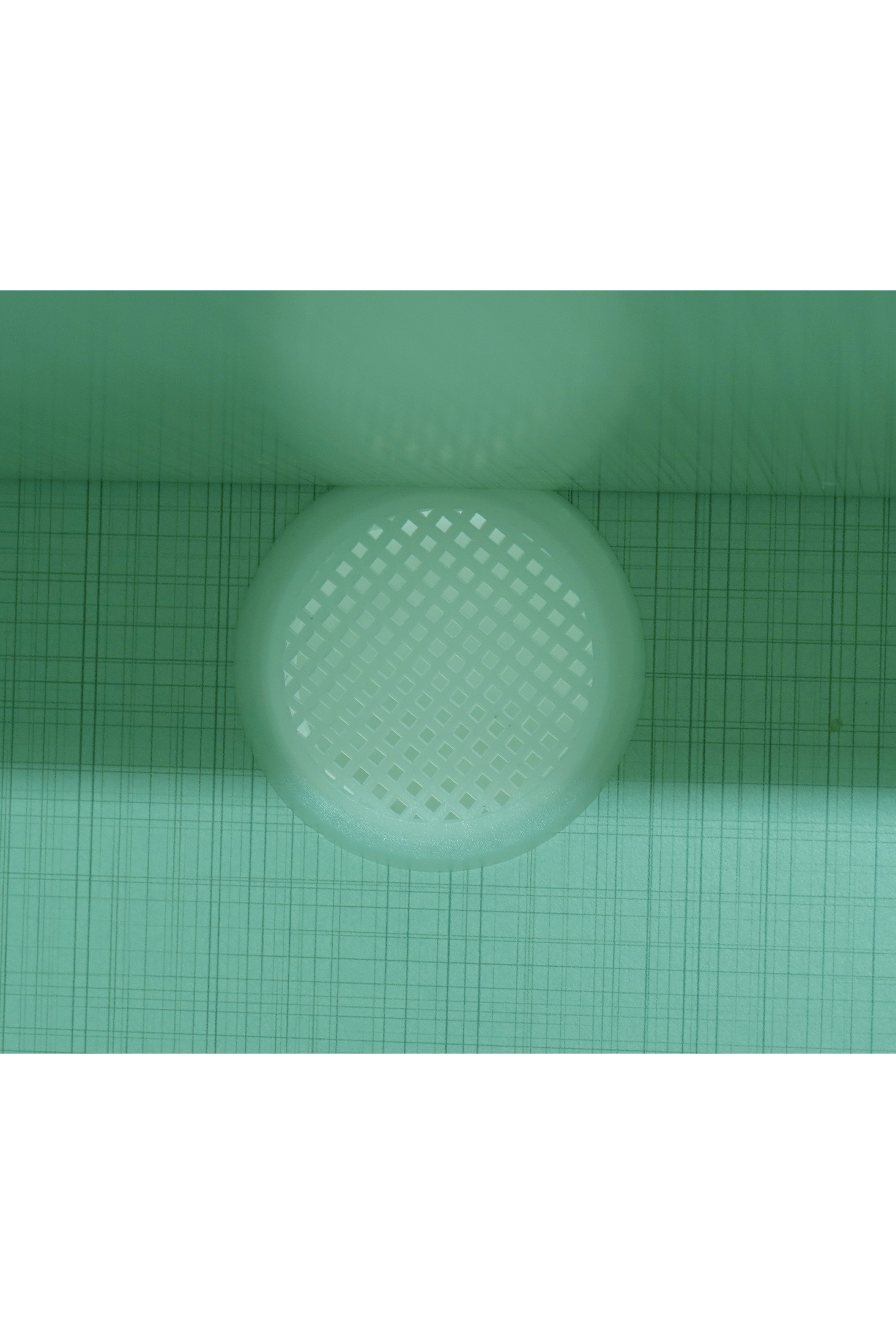 Betta 2 Door Shoe Cabinet