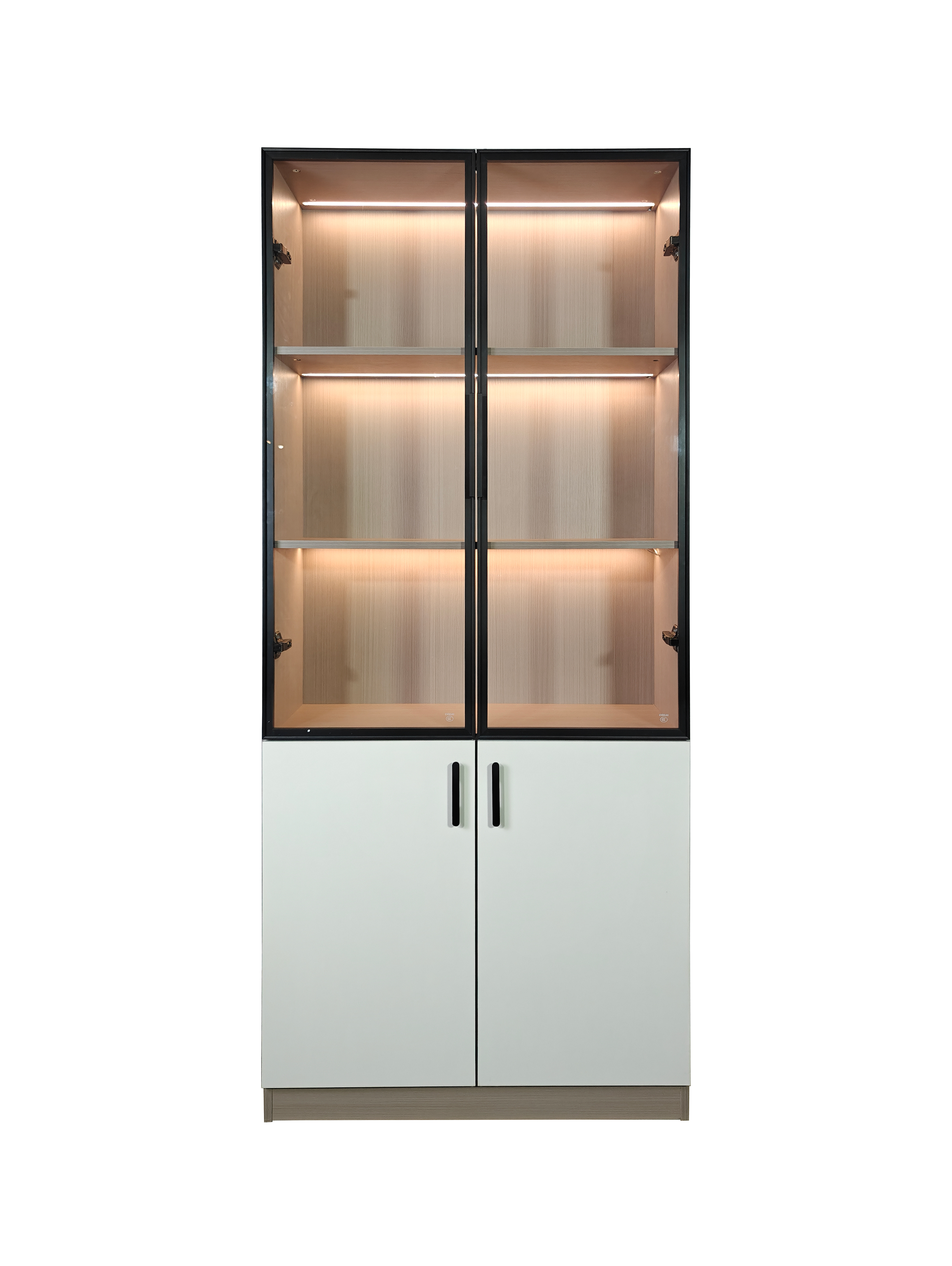 Nora 2 Door Book Cabinet