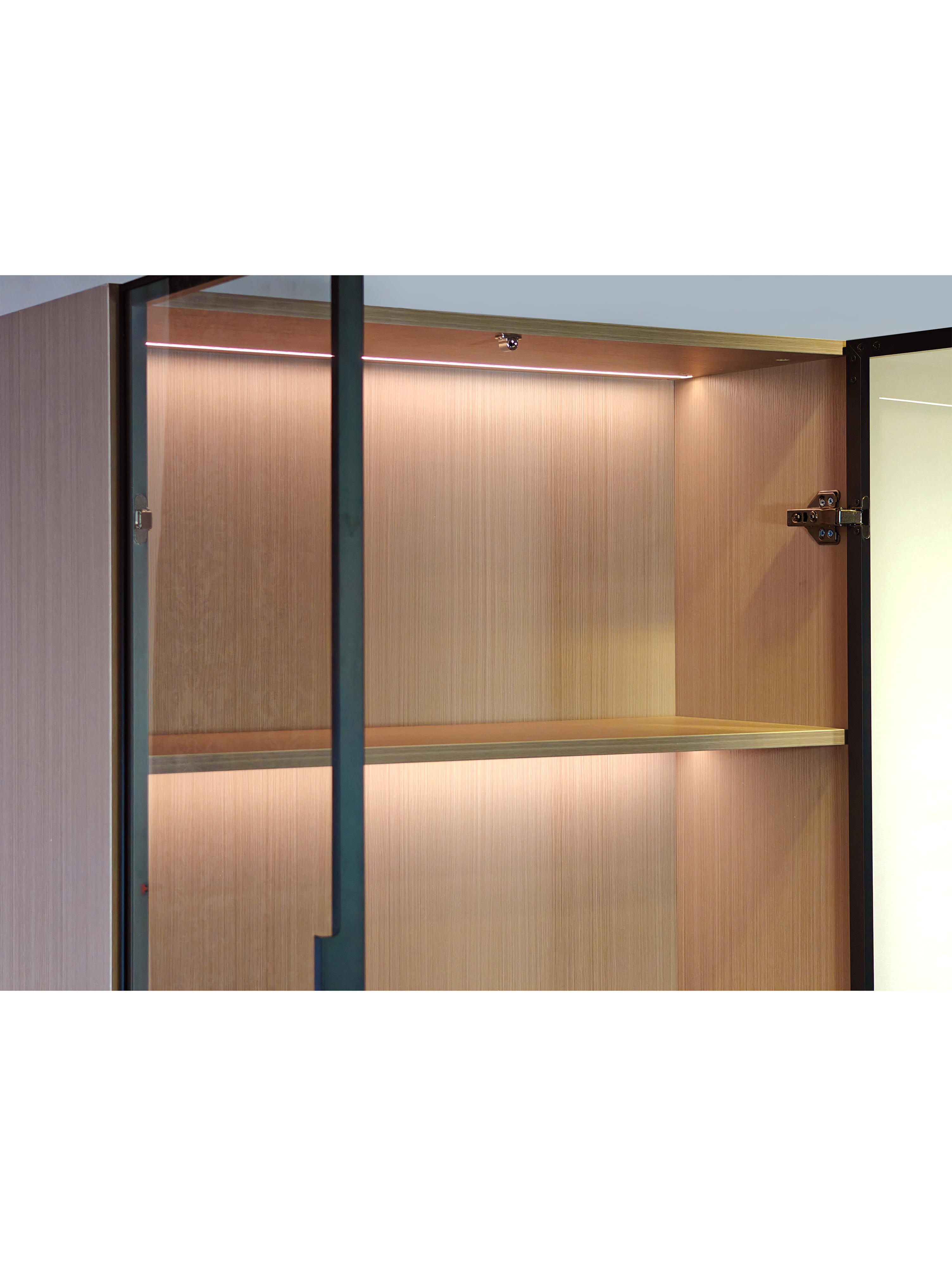 Nora 2 Door Book Cabinet