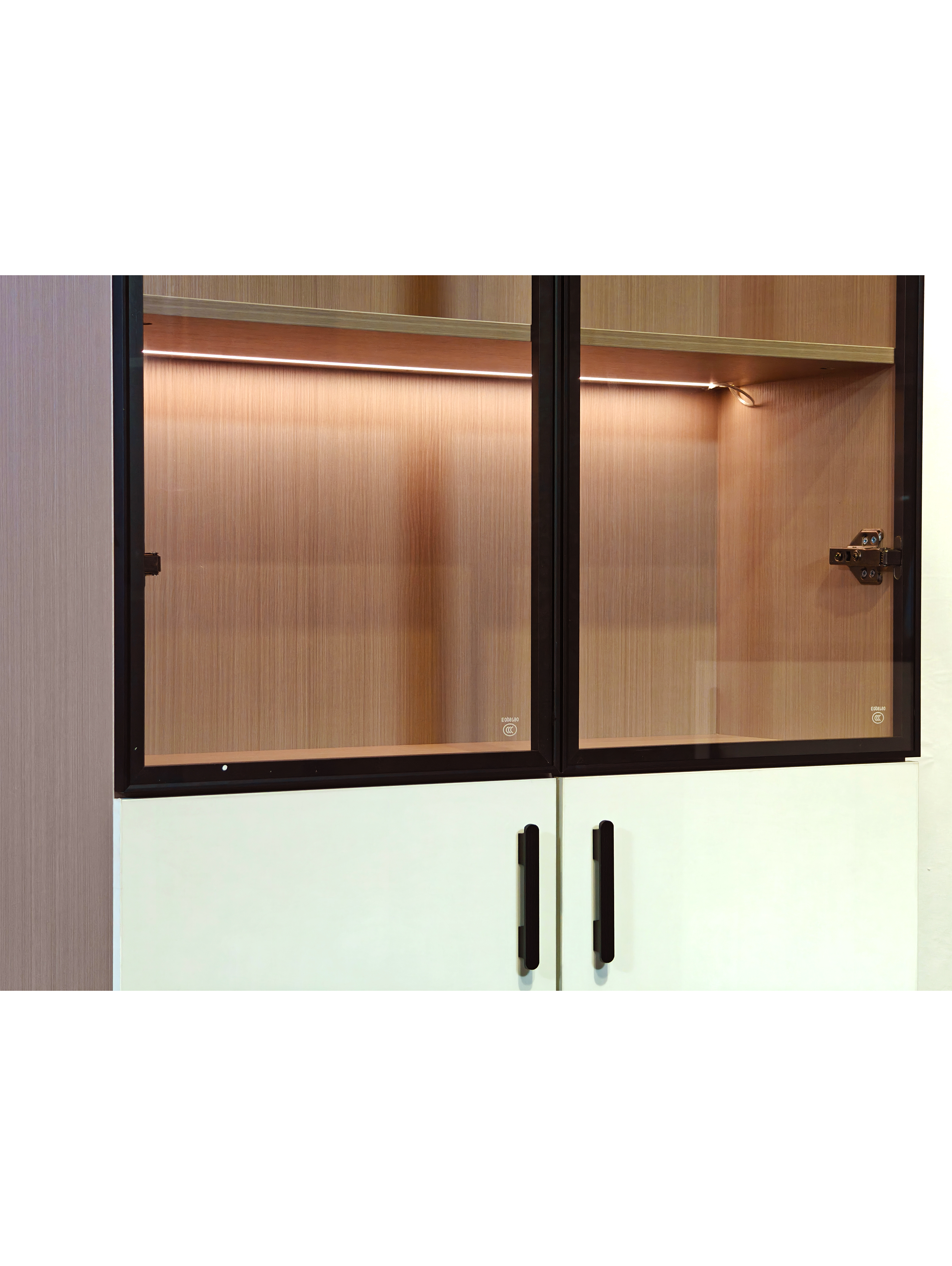 Nora 2 Door Book Cabinet