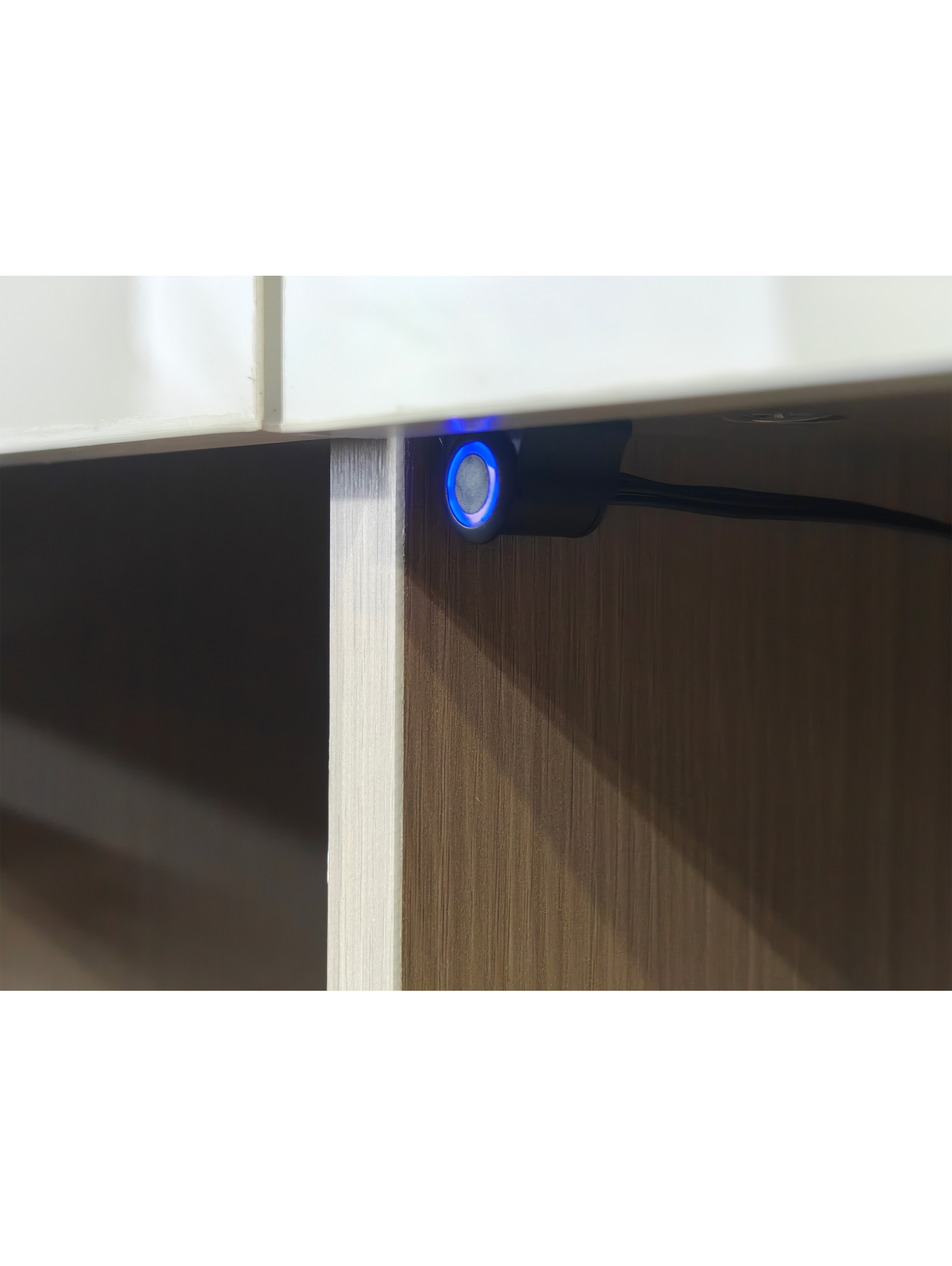 Nora Study Table With Bookshelf