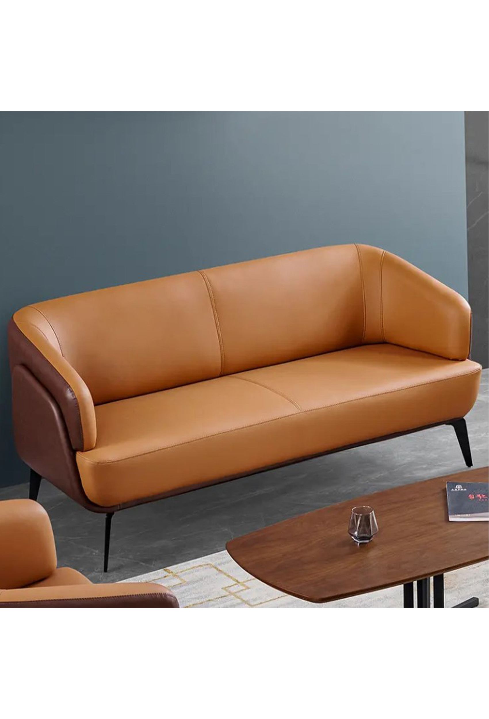 Orlando Leather Two Tone Sofa