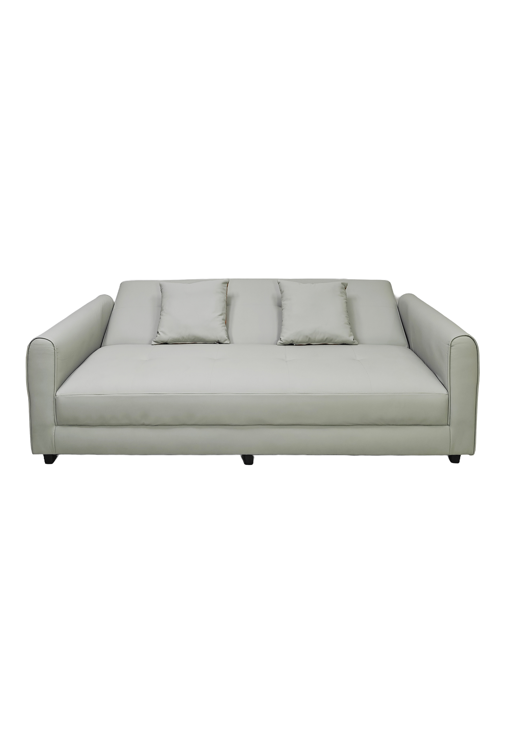 Cade Leather Sofa Bed