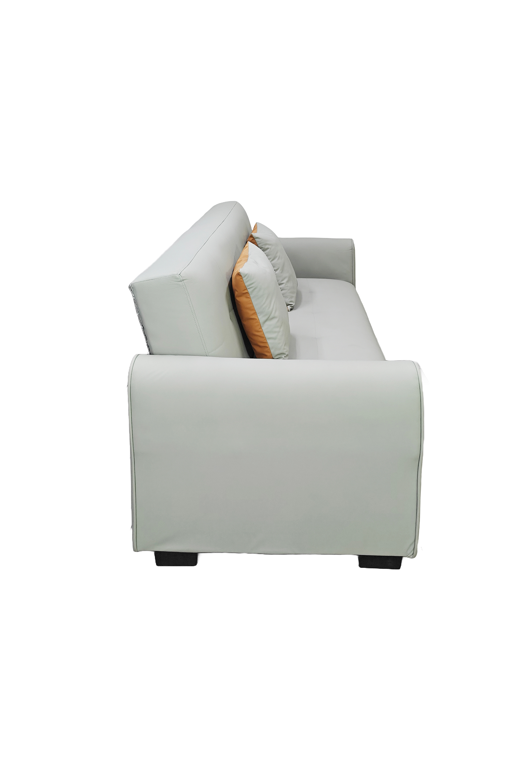 Cade Leather Sofa Bed