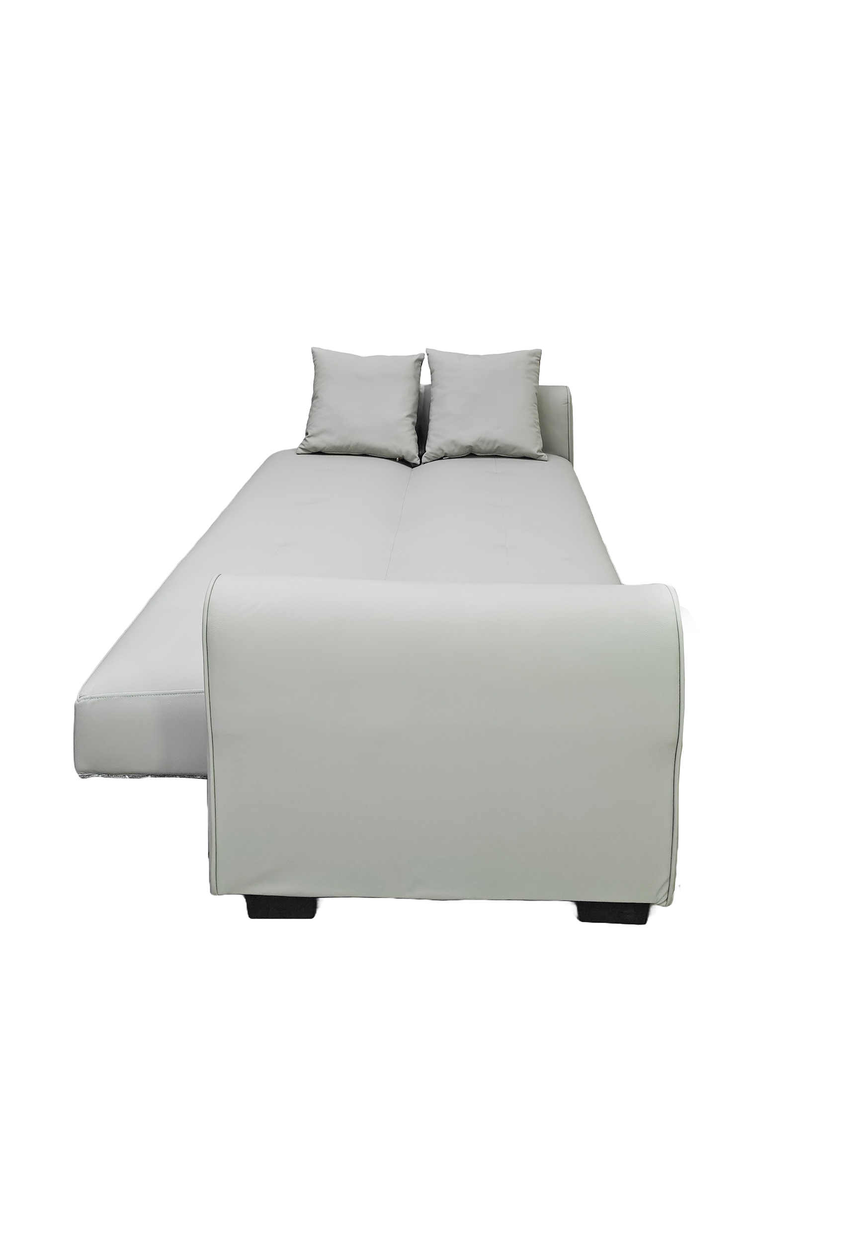 Cade Leather Sofa Bed