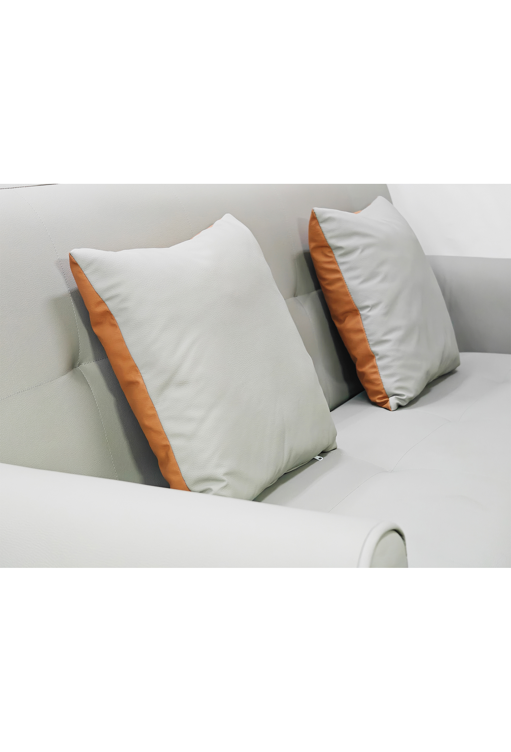 Cade Leather Sofa Bed