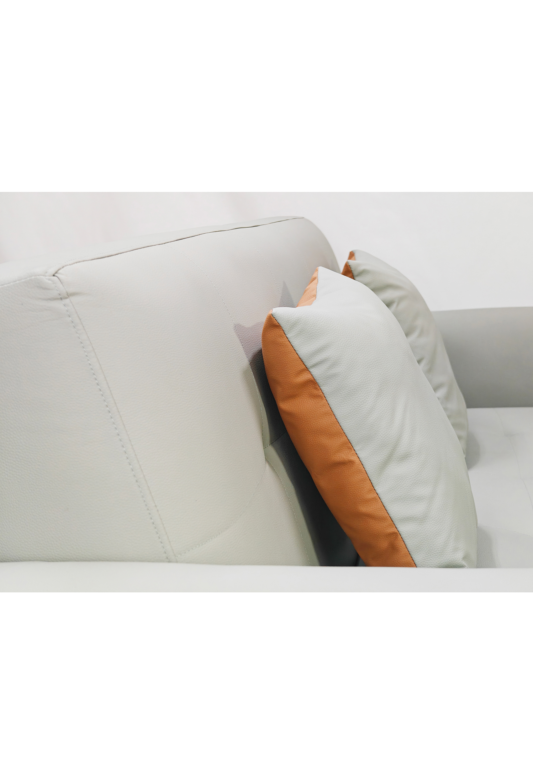 Cade Leather Sofa Bed