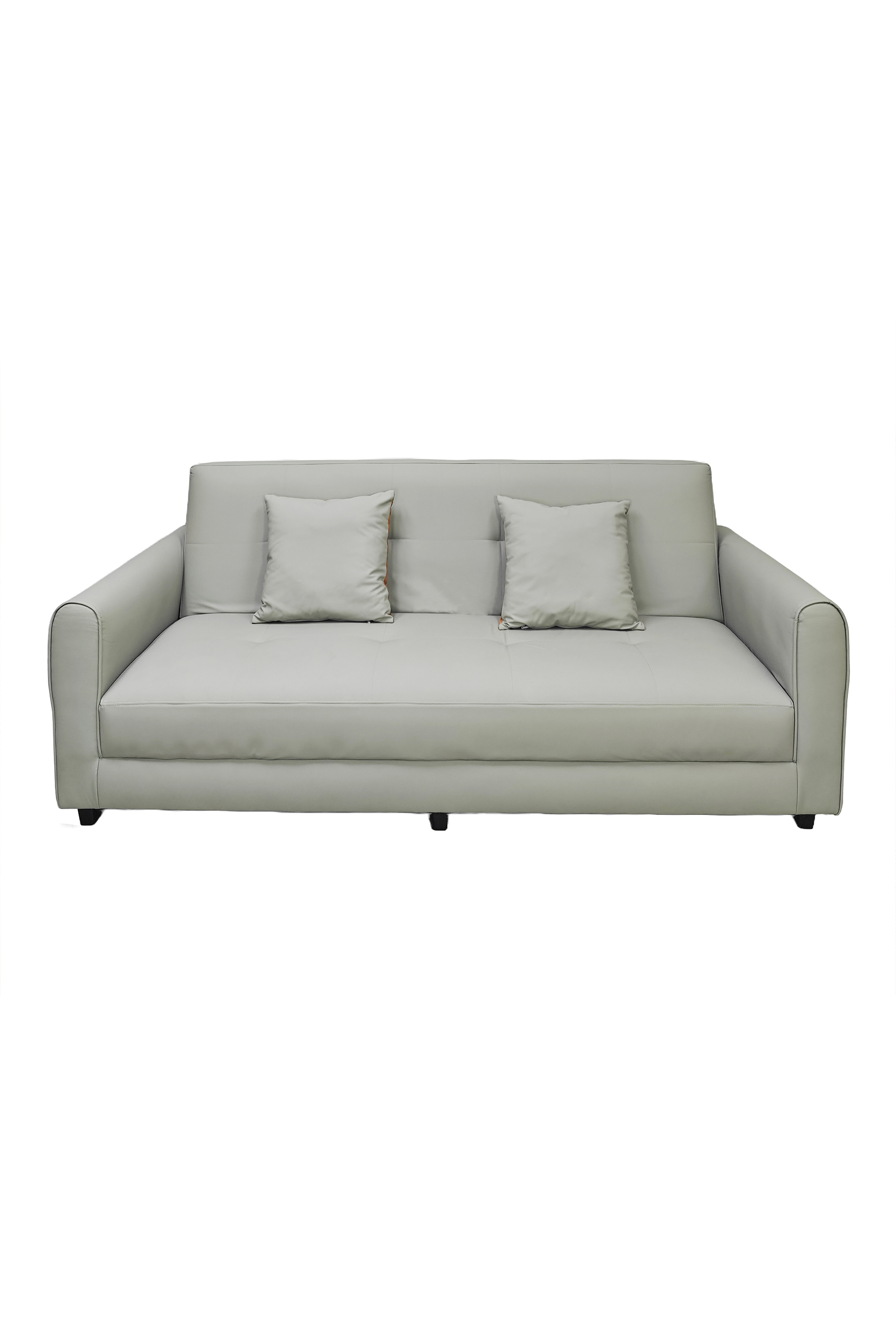 Cade Leather Sofa Bed