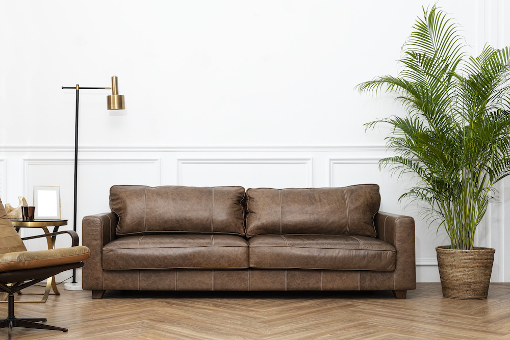Guide on How to Remove Mould from Leather Sofas