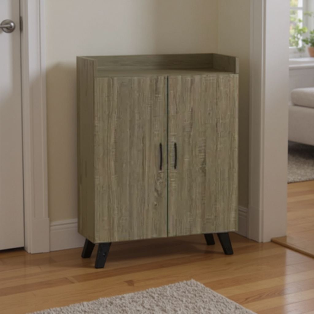 2 Door Shoe Cabinet
