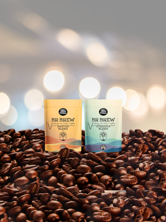 BR BREW V HANG-ON DRIP COFFEE