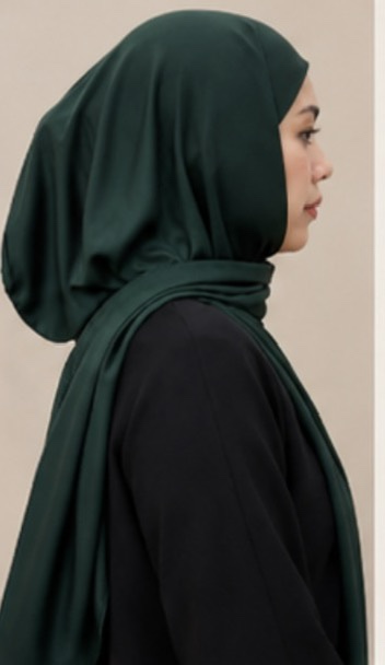 ZARA Hoodie ( Silk )