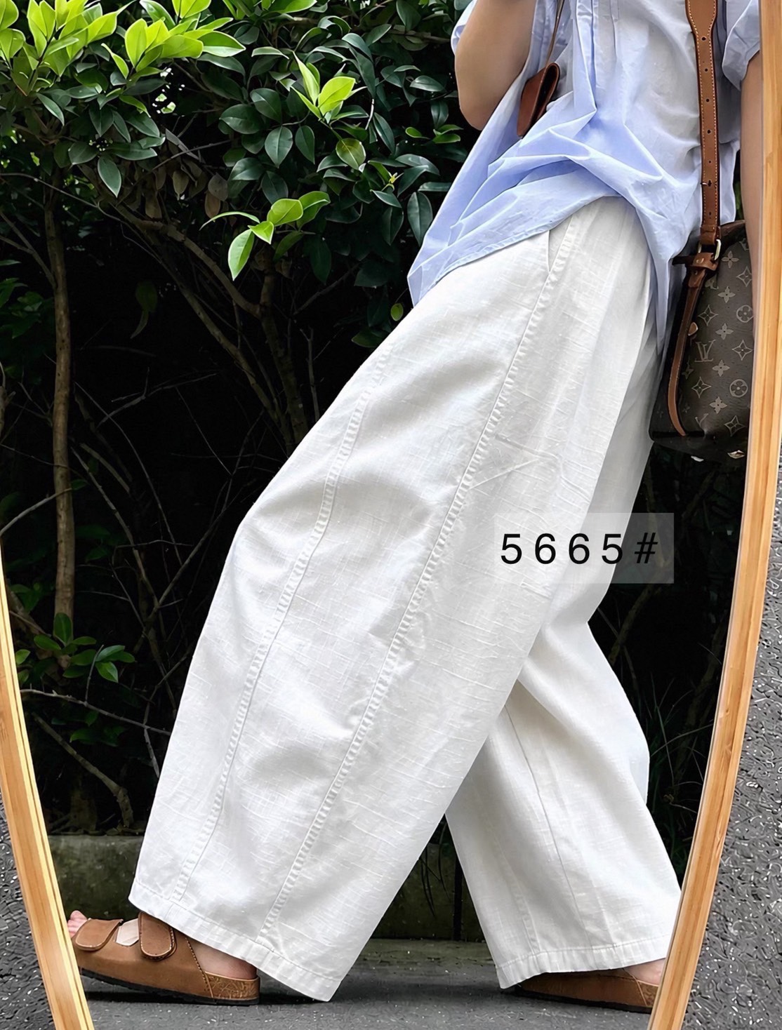 P84 (5665)
