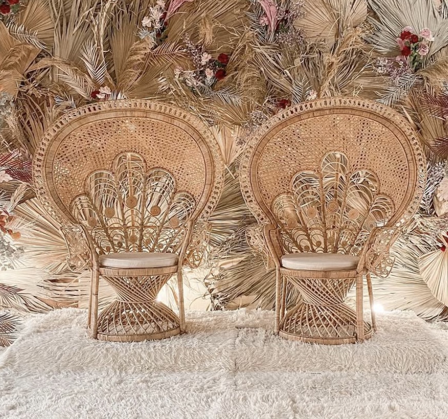 [RENT] SINGLE PEACOCK