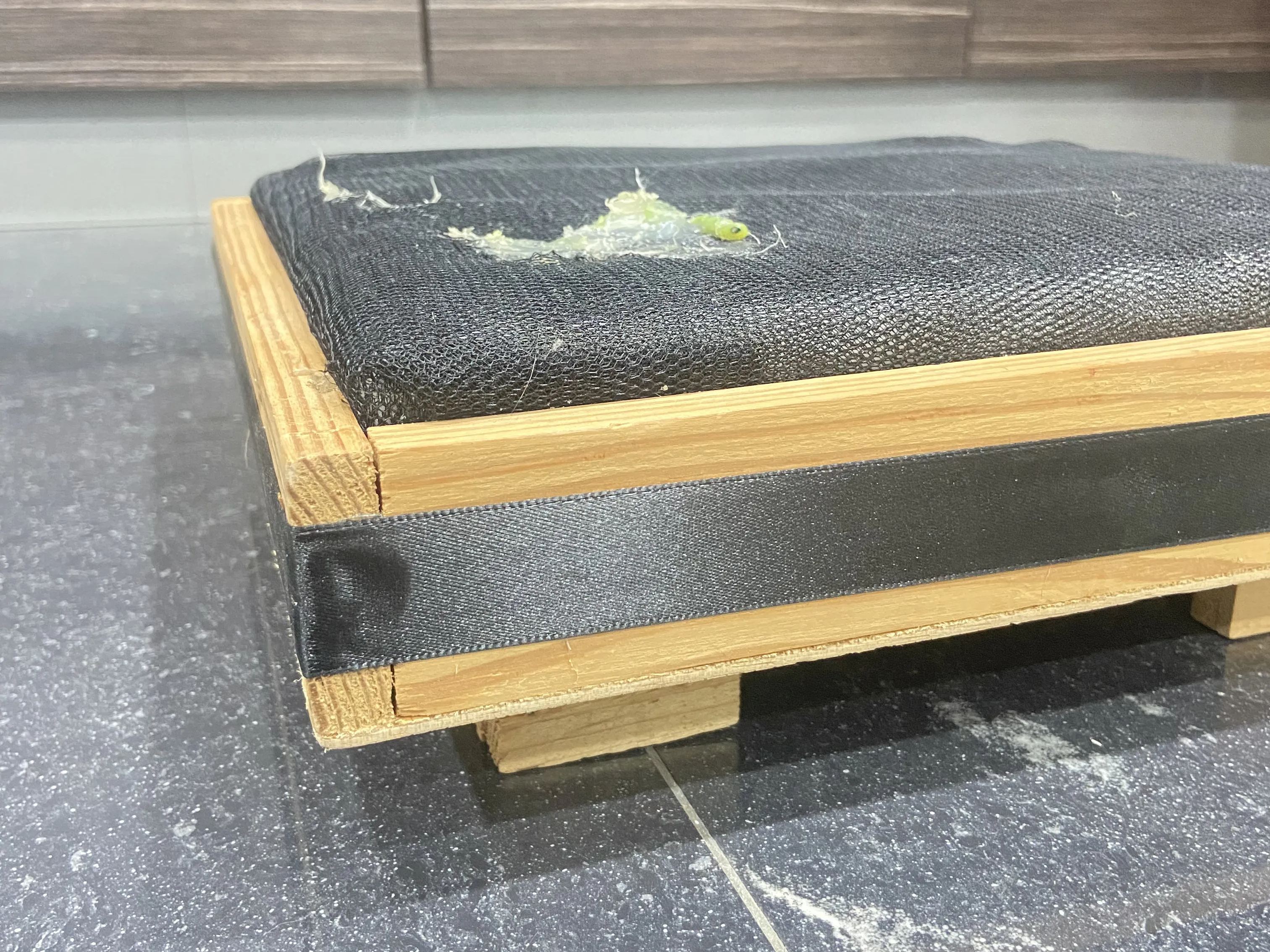 [RENT]Decorated Tray