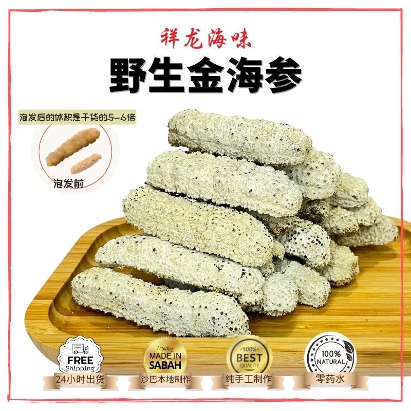 Dried Sea Cucumber 沙巴 金海参 M