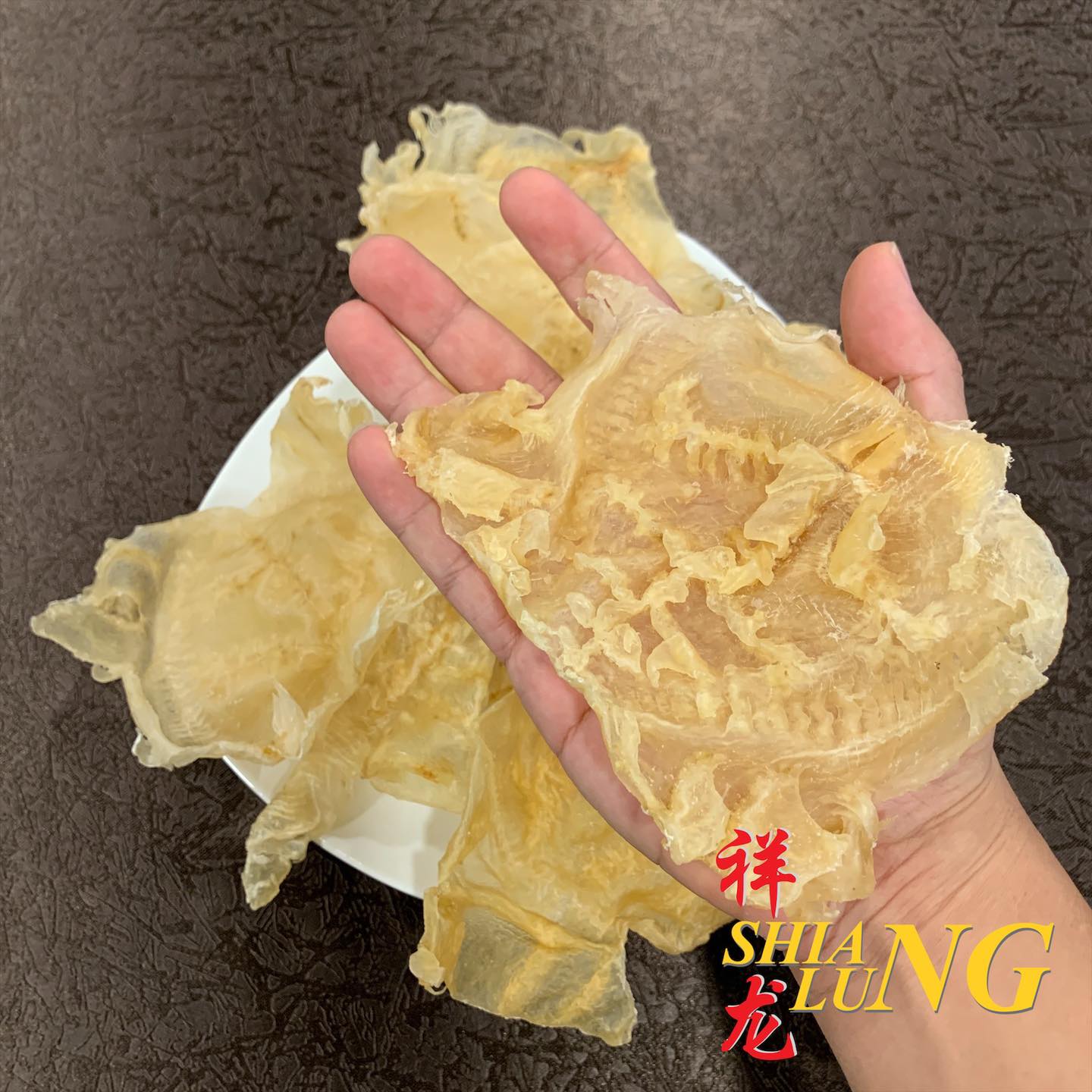 手持大片花胶鱼鳔干货展示