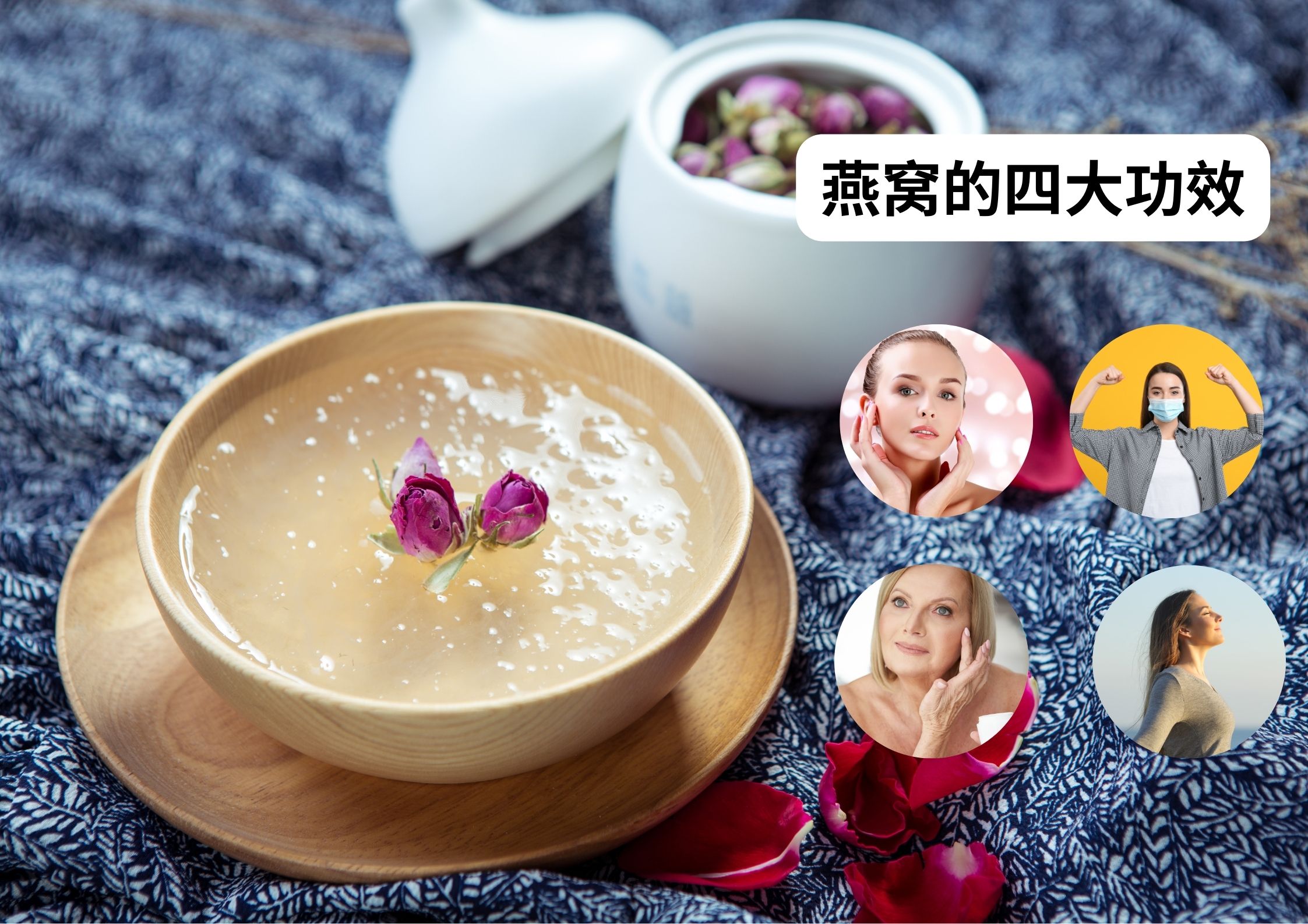燕窝的四大功效展示。
