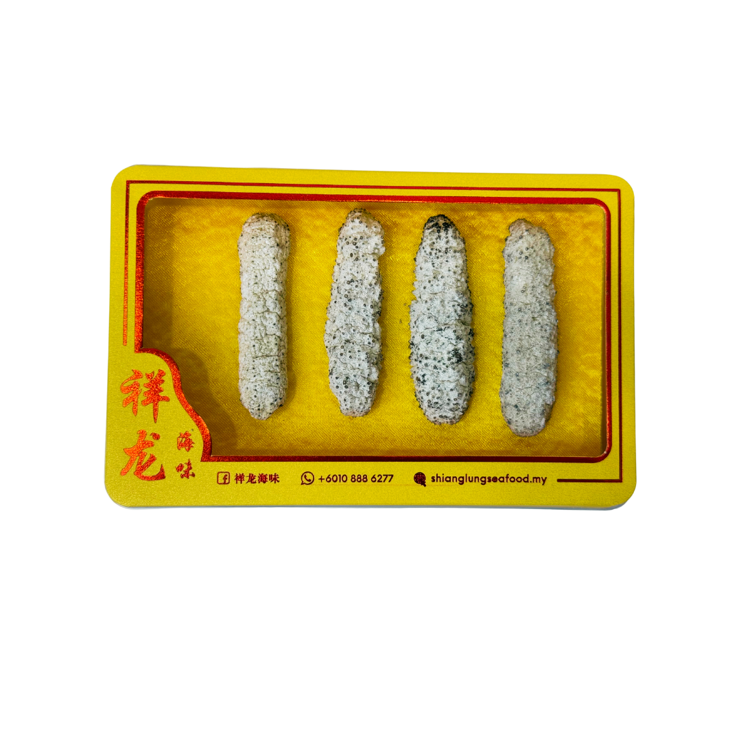 Dried Sea Cucumber 沙巴 金海参 Size M
