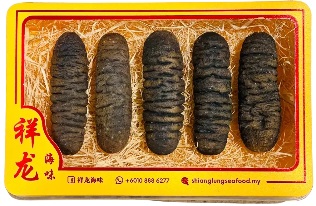 沙巴必买特产之一:高品质干海参礼盒,适合作为手信。