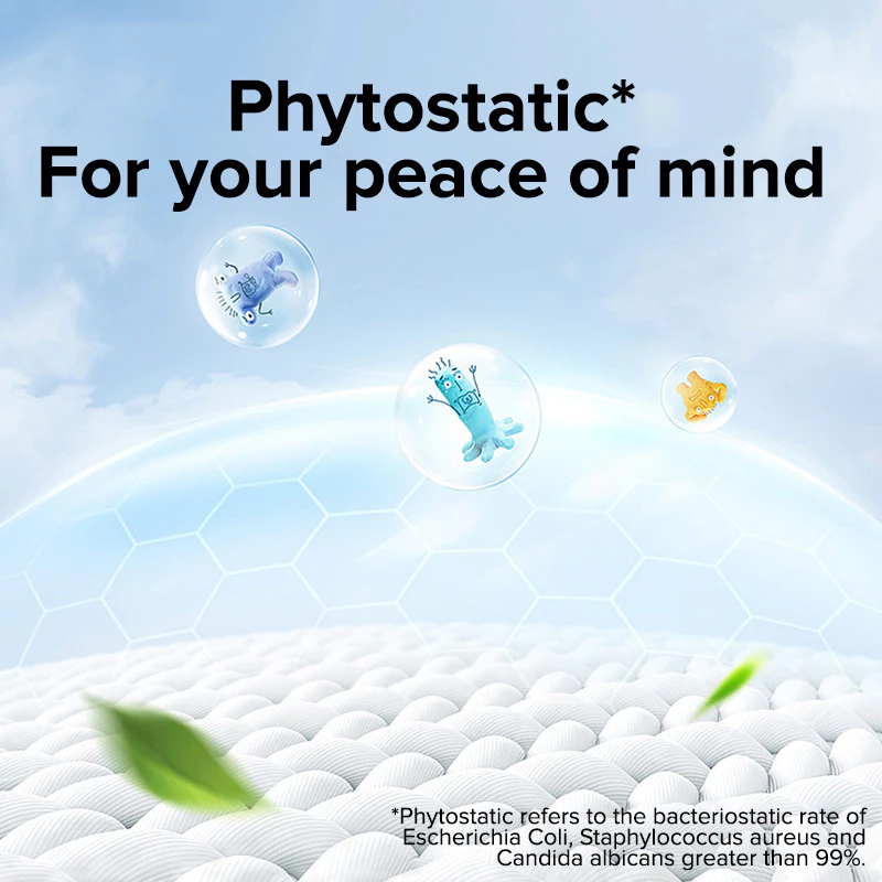 Biba Bebe Lucine Series Sanitary Panties M 3packs 12pcs Panty Liners