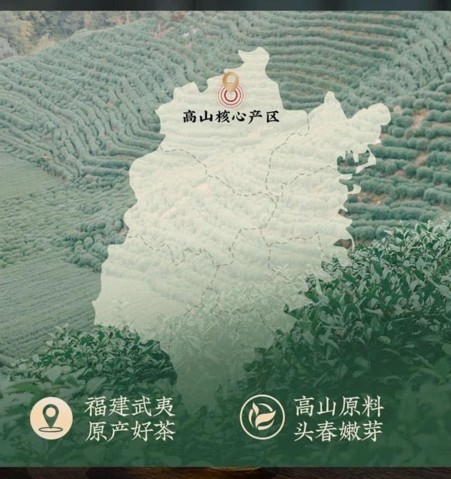 九鼎香正山小种（红茶）JDX Lapsang Souchong (Black Tea)