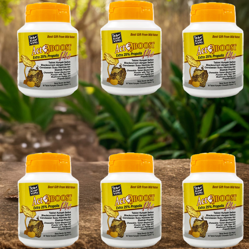 ActiBoost 野生虎乳芝 + 蜂胶 Wild Tiger Milk Mushroom + Propolis Extract