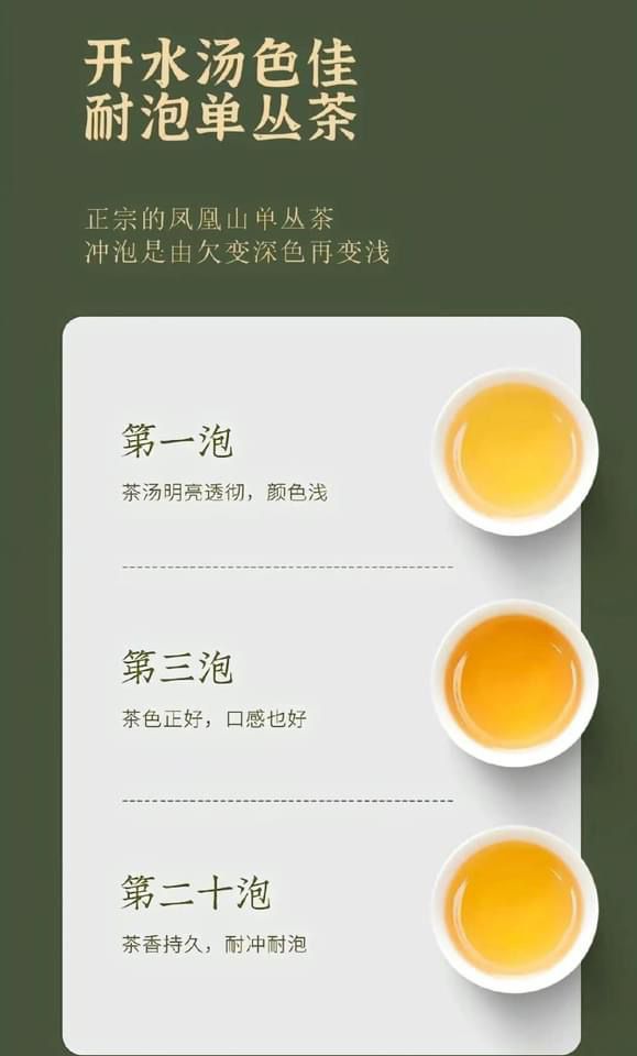 九鼎香凤凰单枞 JDX Phoenix Dan Cong