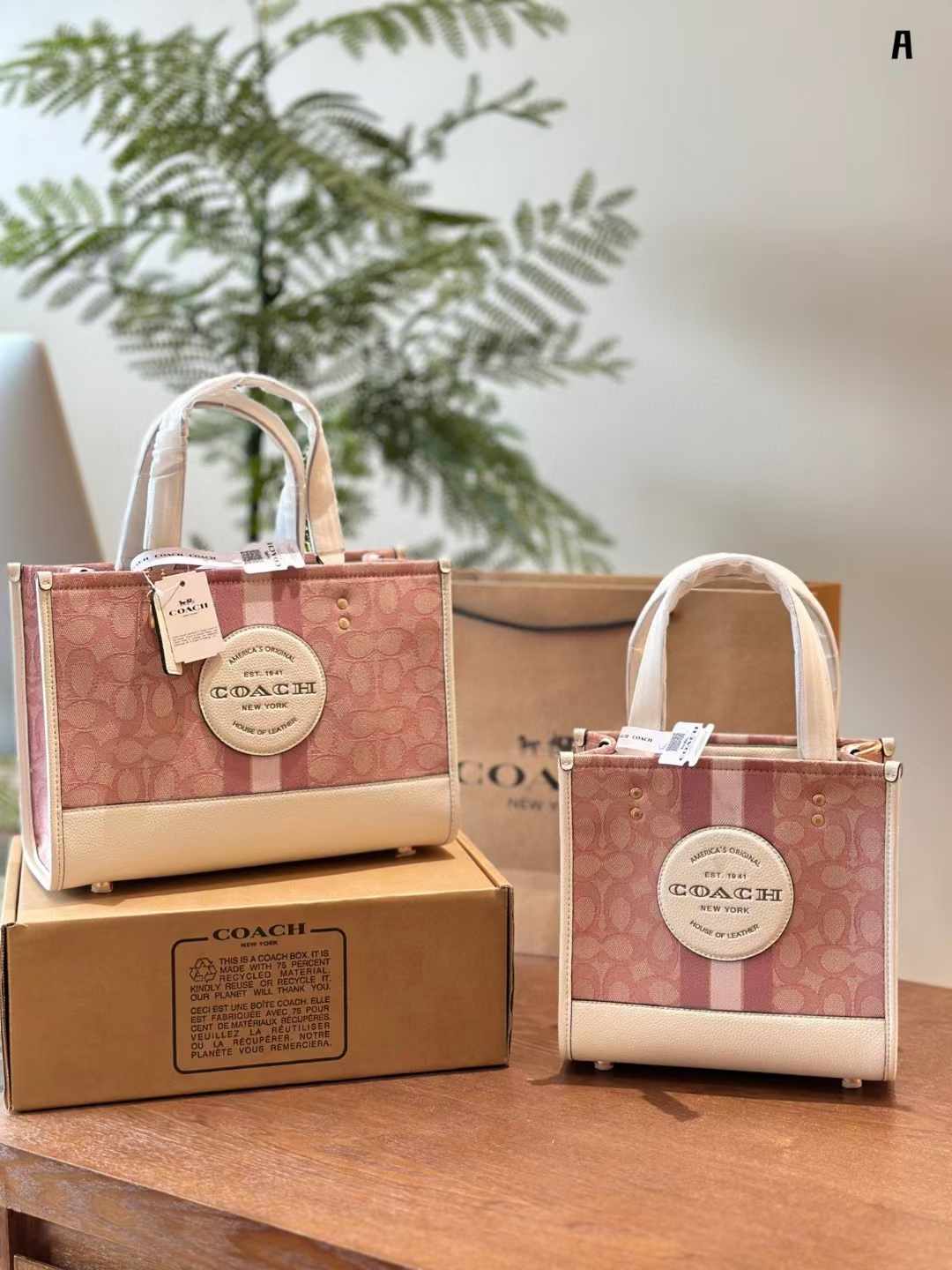 1円〜【入手困難品】COACH コーチ シグネチャー 2way リュック バック