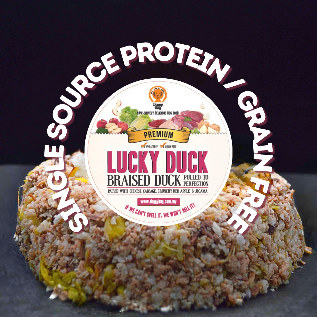 Lucky Duck