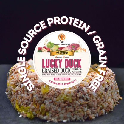 Lucky Duck