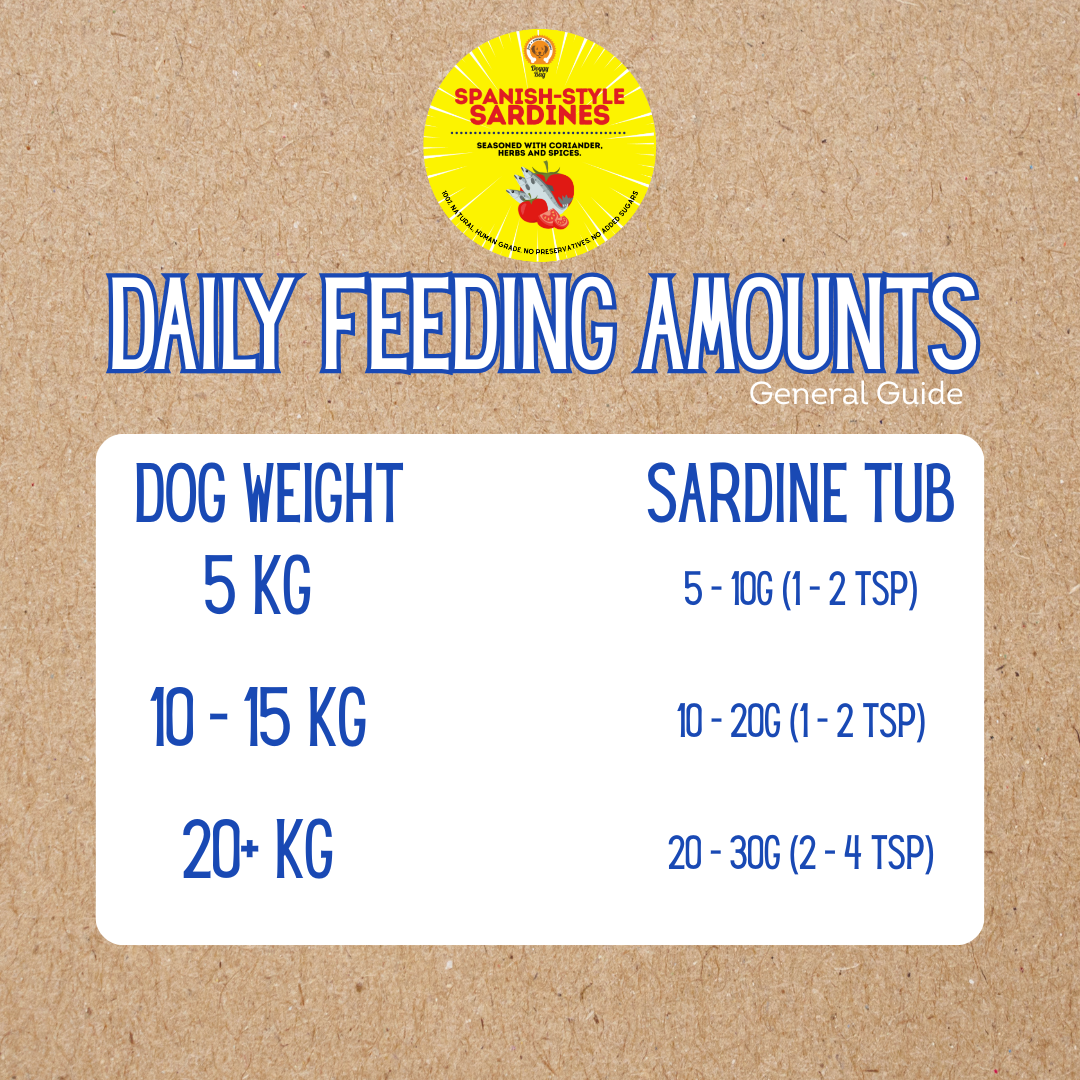  Spanish Style Sardines 