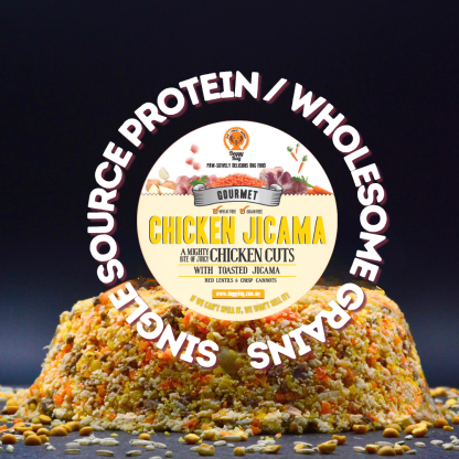 Chicken Jicama