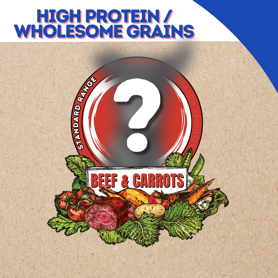 Beef & Carrots 