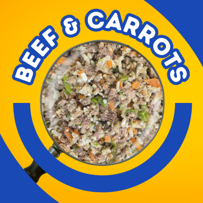 Beef & Carrots