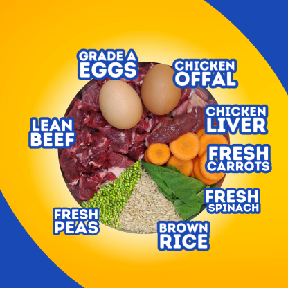 Beef & Carrots