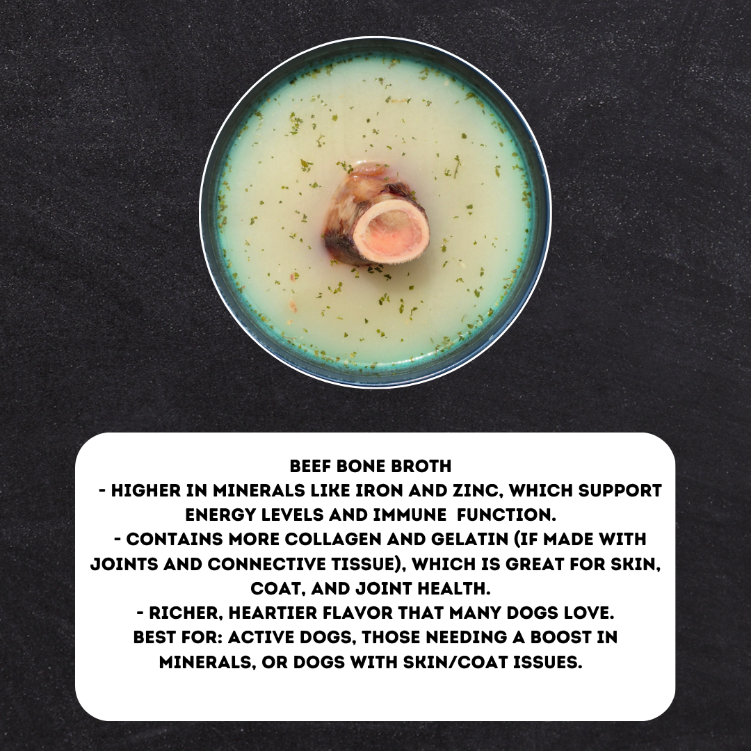  Bone Broth 