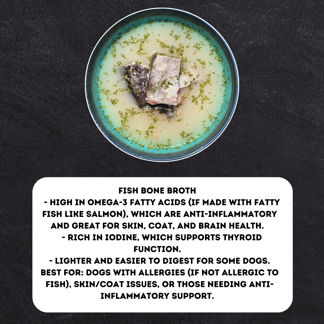  Bone Broth 