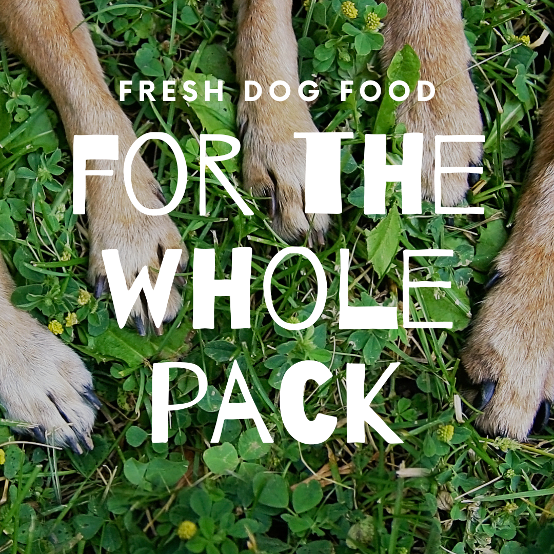 Feed A Rescue