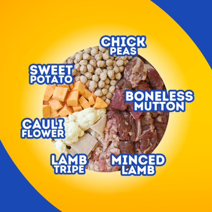 Roast Lamb Dinner