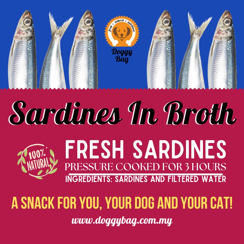  Spanish Style Sardines 