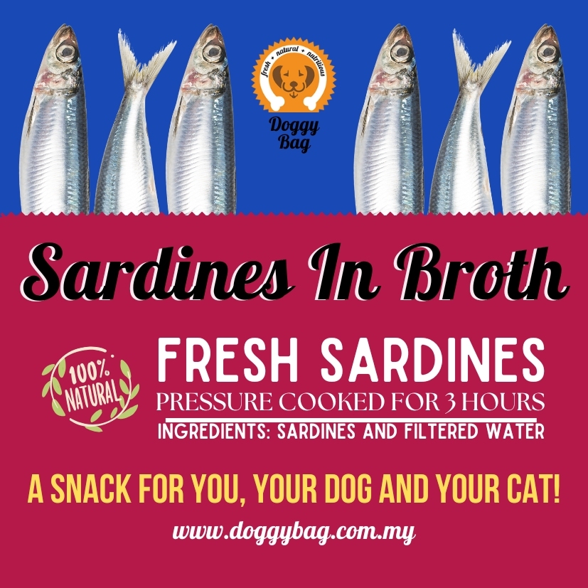  Spanish Style Sardines 