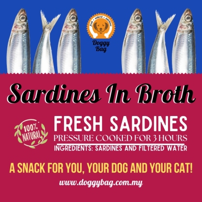  Spanish Style Sardines 