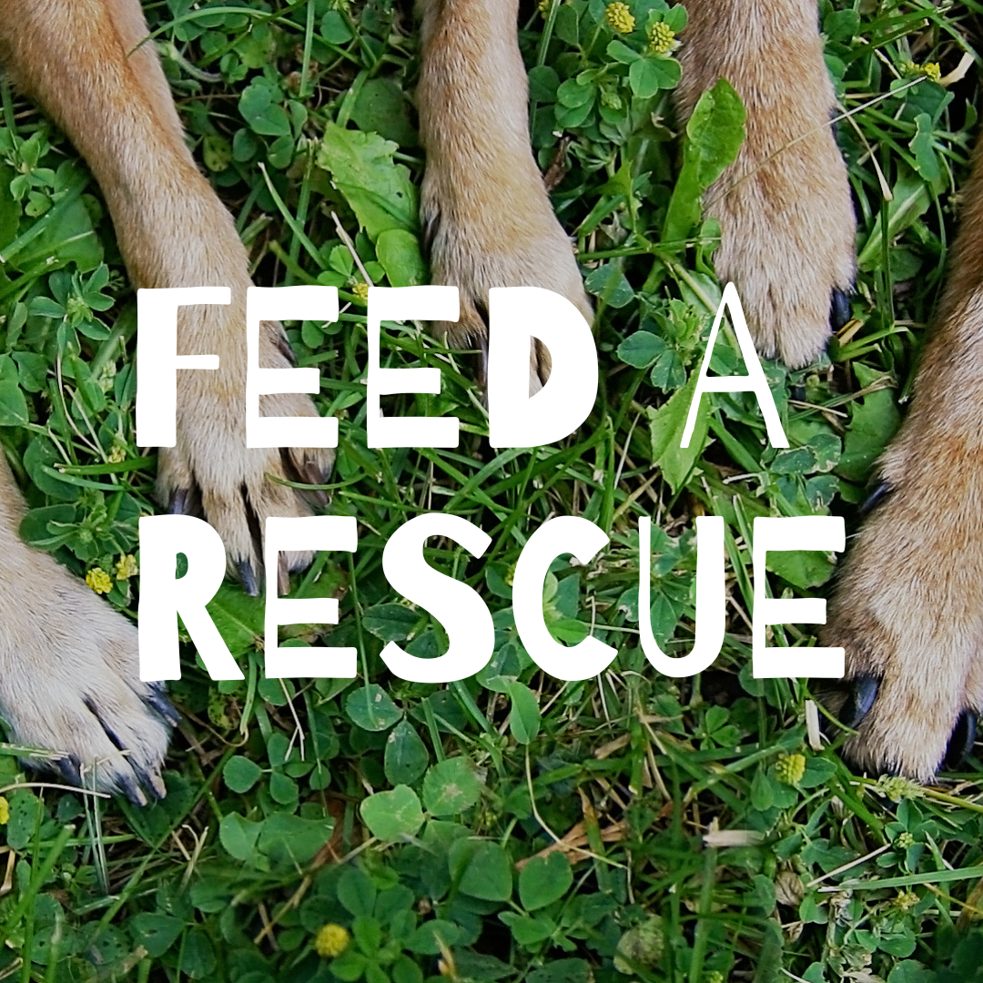 Feed A Rescue